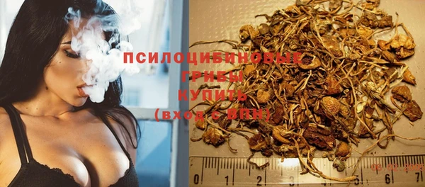 МДПВ Арсеньев