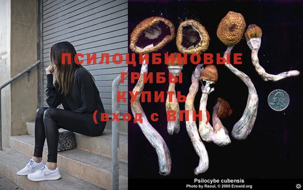 дмт Аркадак