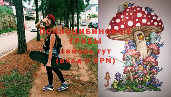 МДПВ Арсеньев