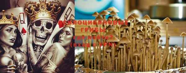 дмт Аркадак