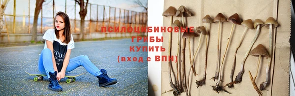 дмт Аркадак